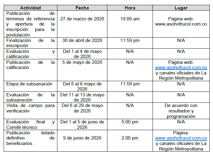 Cronograma de la convocatoria