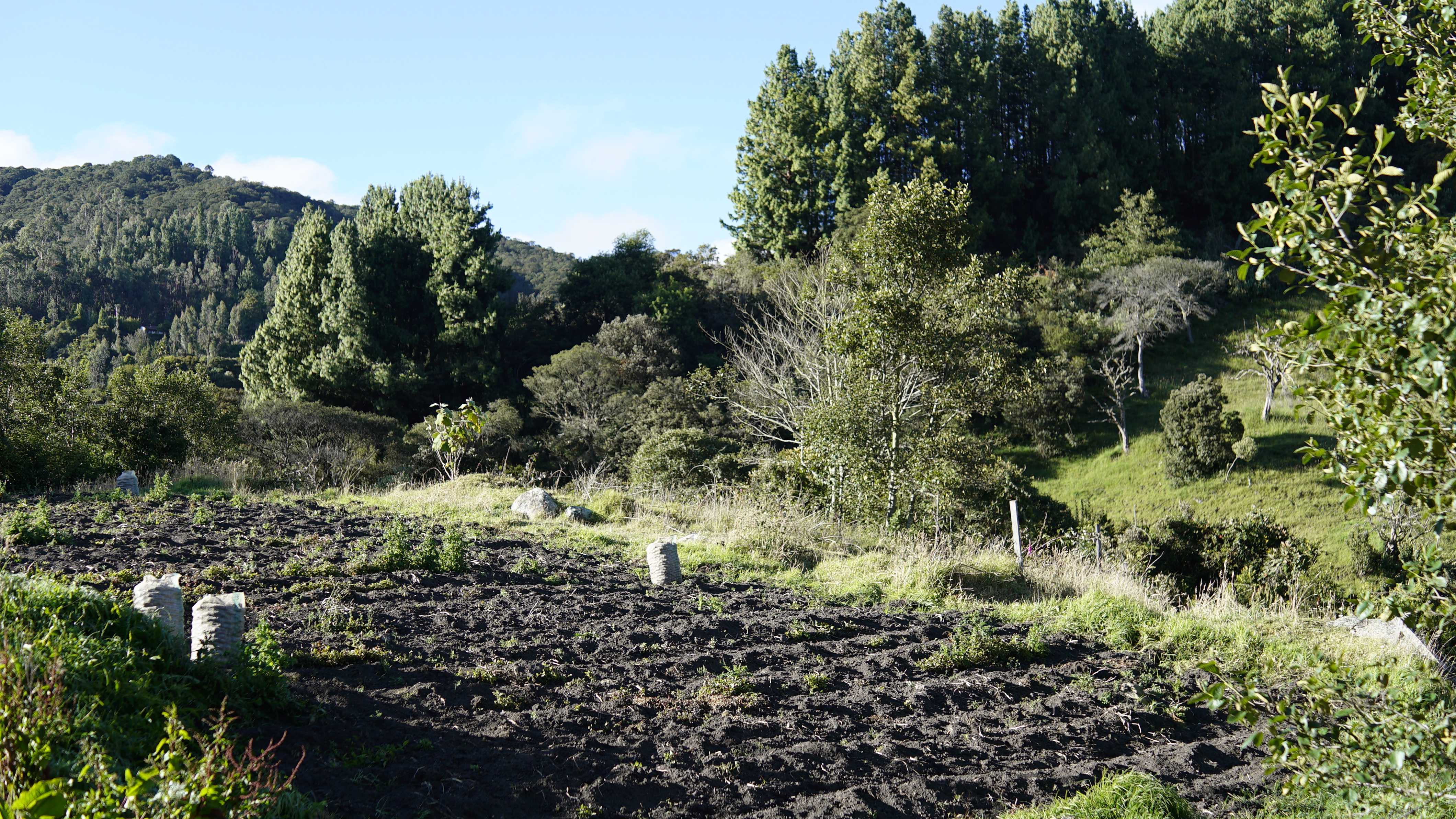 fotografía de un terreno arado para el cultivo de papa, es temprano y soleado