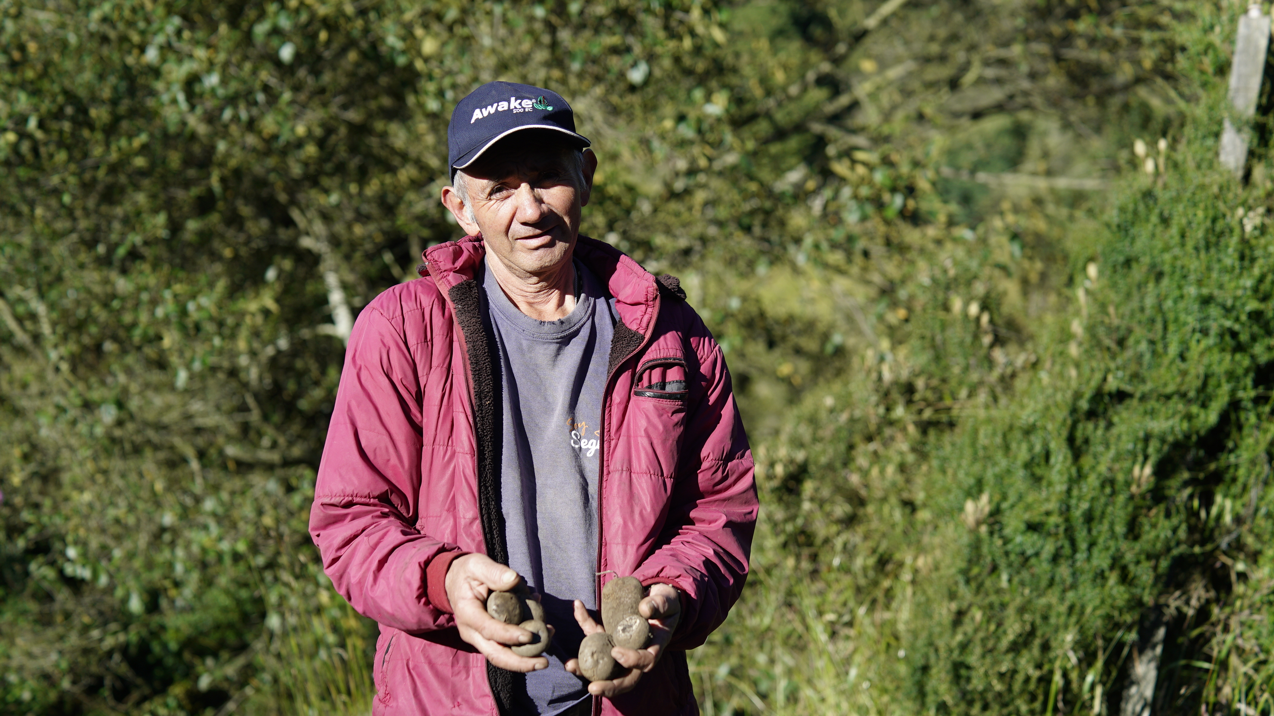 fotografía de un hombre con chaqueta color rosada y rojiza, con gorra, está de pie en un campo abierto que es un cultivo de papa