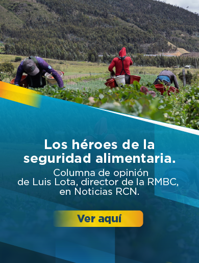 Diseño que muestra a campesinos recolectando fresas y el título "lo héroes de la seguridad alimentaria", correspondiente a la columna de opinión de Luis Lota, director de la Región Metropolitana Bogotá Cundinamarca