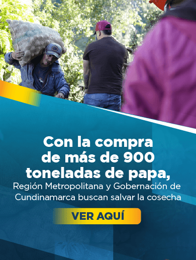 Banner muestra campesino cargando un bulto de papa mientras pasa por un camino veredal