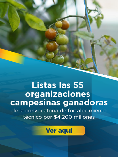 Banner alusivo a las organizaciones seleccionadas en el programa Asociaciones que nutren nuestra región