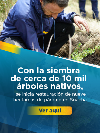 Banner en el que aparece el director de la Región Metropolitana sembrando un árbol, clic aquí para saber más sobre el proyecto de reforestación del páramo en Soacha