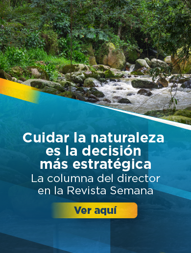 Banner o diseño que muestra un río con el siguiente texto: Cuidar la naturaleza es la decisión más estratégica.  Columba del director en Revista semana. La pieza gráfica invita a hacer clic sobre la imagen para abrir el contenido.