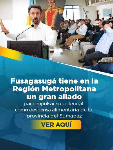 banner muestra director Región Metropolitana Bogotá Cundinamarca en el Concejo de Fusagasugá donde explicó hechos metropolitanos 