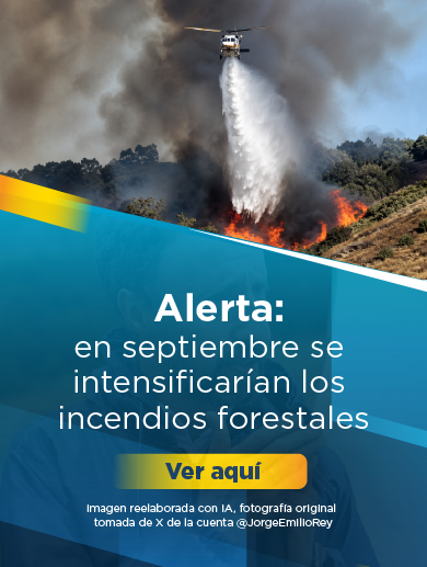 Alerta: en septiembre se intensificarían los incendios forestales