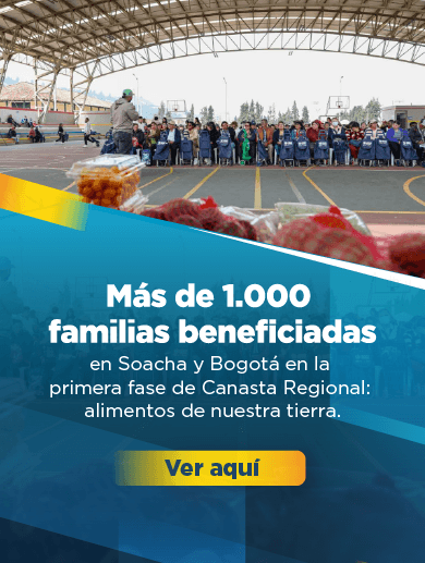 Banner sobre la noticia de la entrega alimentos en la última jornada de la primera fase del programa Canasta Regional