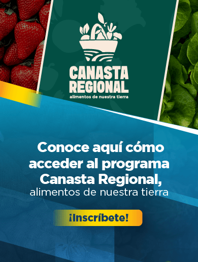 Banner de invitación a participar del proyecto canasta familiar como beneficiario o aportante, el diseño invita a clicar para acceder al formulario de inscripción