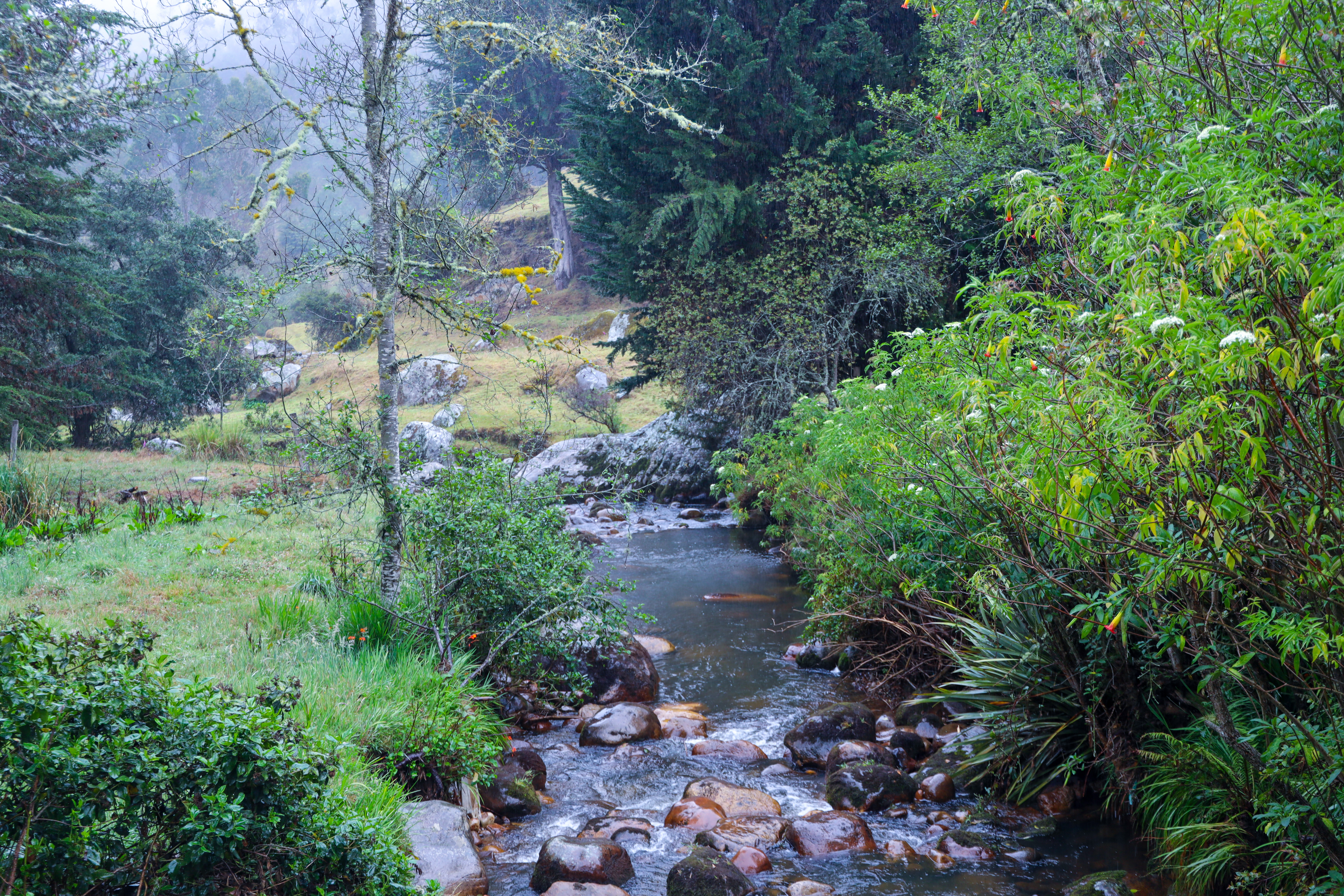 Páramo de Sumapaz 