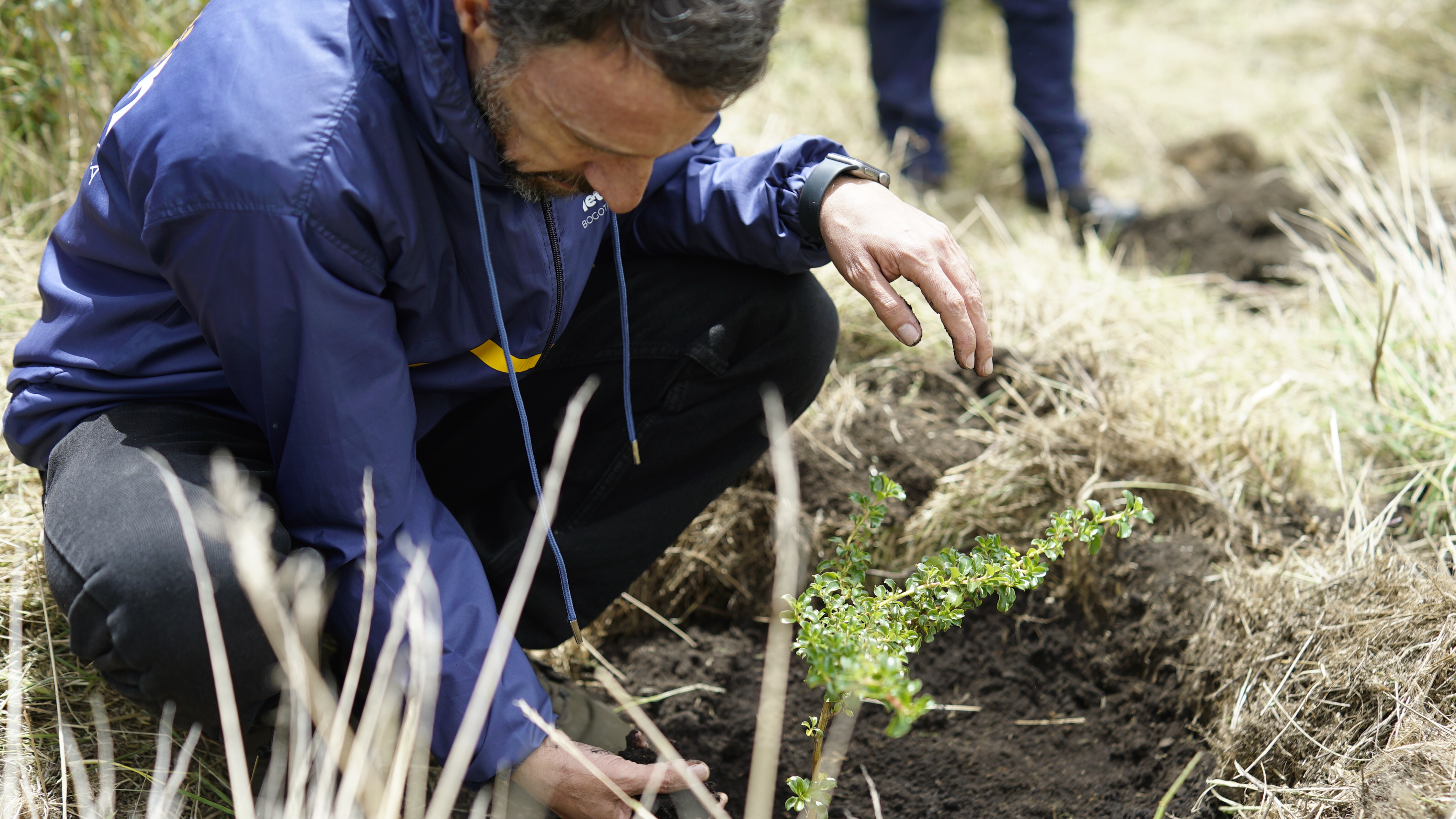 Fotografía de Luis Lota, director de la Región Metropolitana Bogotá - Cundinamarca sembrando un árbol