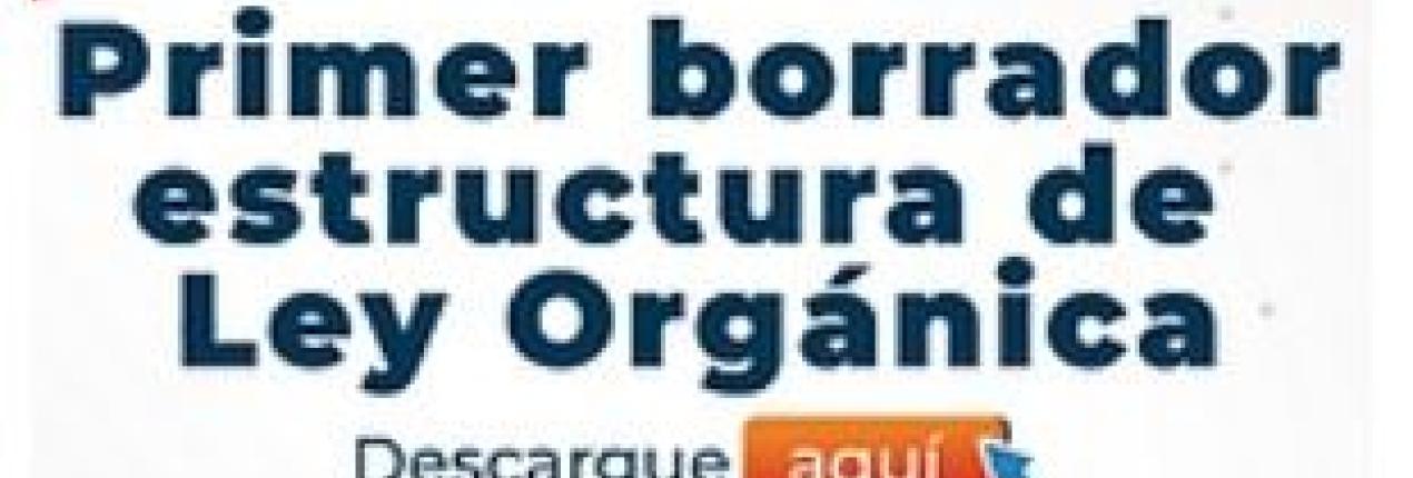 La socialización del primer borrador de la estructura de la Ley Orgánica será el 22 de octubre
