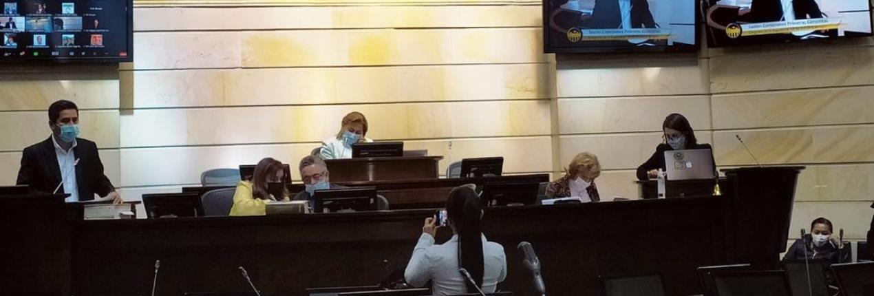Aprobado en Comisiones Primeras el Proyecto de Ley Orgánica de la Región Metropolitana