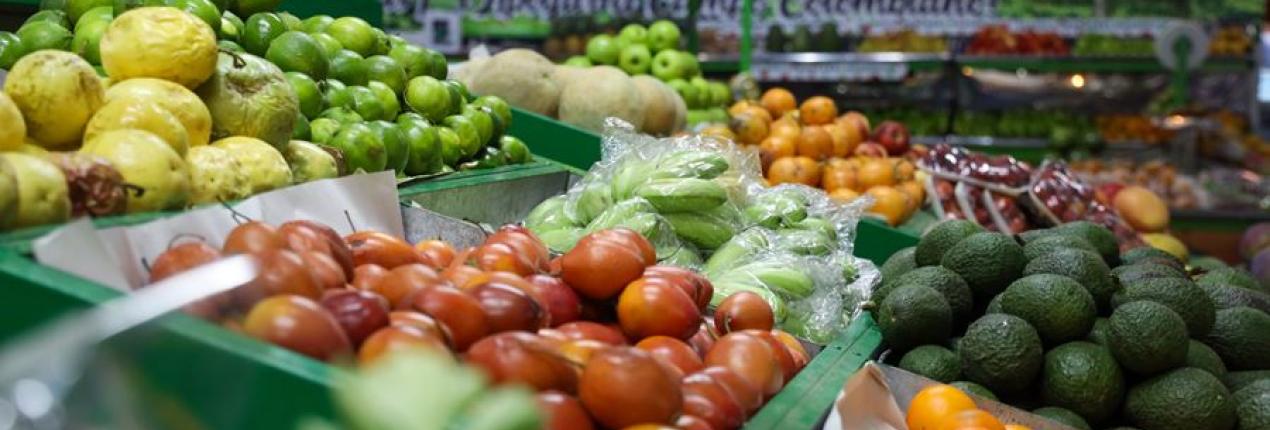 Región Metropolitana firma convenio con FAO para diseñar el Sistema de Abastecimiento Regional Agroalimentario