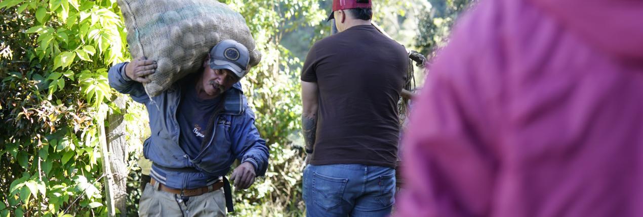 Fotografía muestra a campesino con un bulto de papa al hombre mientras se desplaza por un camino en un ambiente rural o de campo