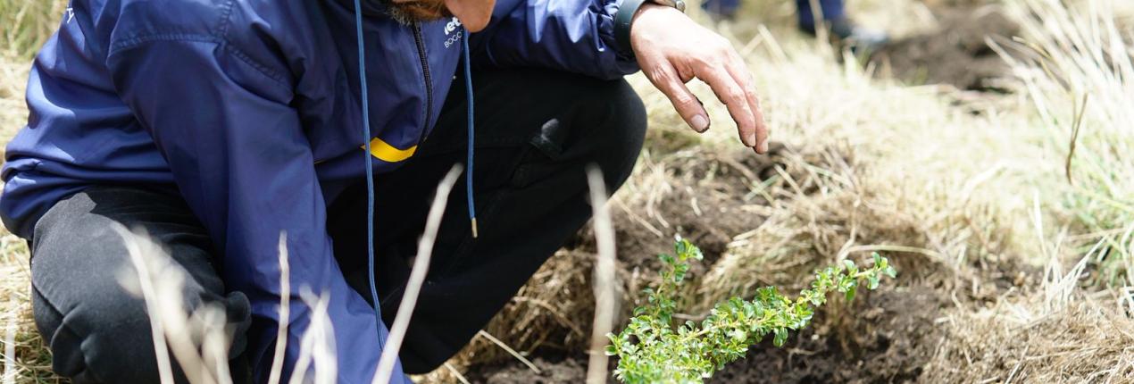 Director de la Región Metropolitana Bogotá Cundinamarca Luis Lota durante la siembra de árboles en la vereda La Pradera de Soacha