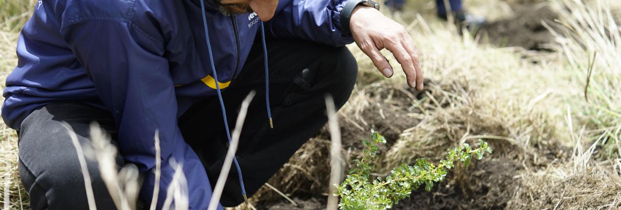 Fotografía de Luis Lota, director de la Región Metropolitana Bogotá - Cundinamarca sembrando un árbol