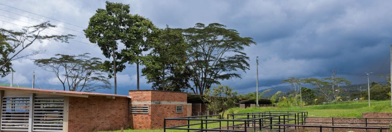 Fotografía con relación a Quebrajacho, el centro agroindustrial que tendrá Fusagasugá