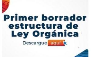 La socialización del primer borrador de la estructura de la Ley Orgánica será el 22 de octubre