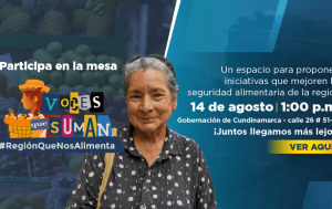 Imagen tipo diseño en el que aparece una mujer adulta mayor con la información sobre la mesa temática que se realizará el próximo 14 de agosto en la Gobernación de Cundinamarca