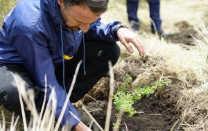 Director de la Región Metropolitana Bogotá Cundinamarca Luis Lota durante la siembra de árboles en la vereda La Pradera de Soacha