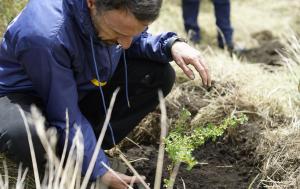 Fotografía de Luis Lota, director de la Región Metropolitana Bogotá - Cundinamarca sembrando un árbol