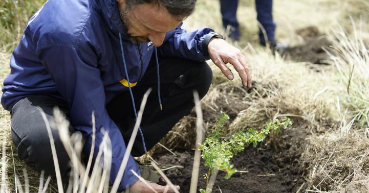 Fotografía de Luis Lota, director de la Región Metropolitana Bogotá - Cundinamarca sembrando un árbol