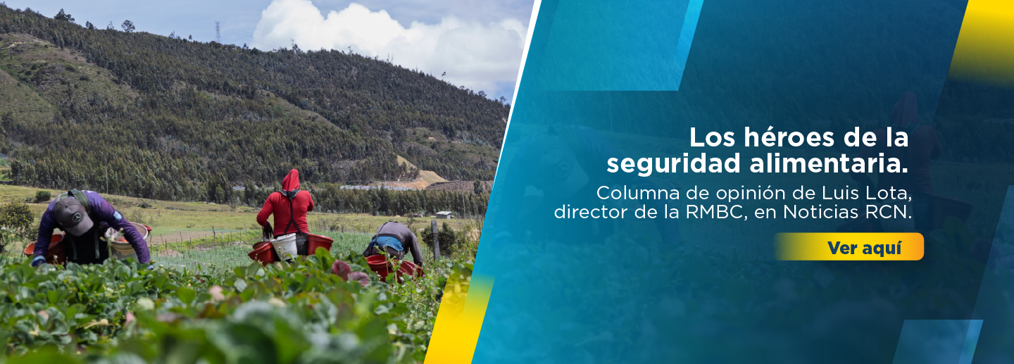 Diseño que muestra a campesinos recolectando fresas y el título "los héroes de la seguridad alimentaria" que corresponde a una columna de opinión de Luis Lota, director de la Región Metropolitana Bogotá Cundinamarca