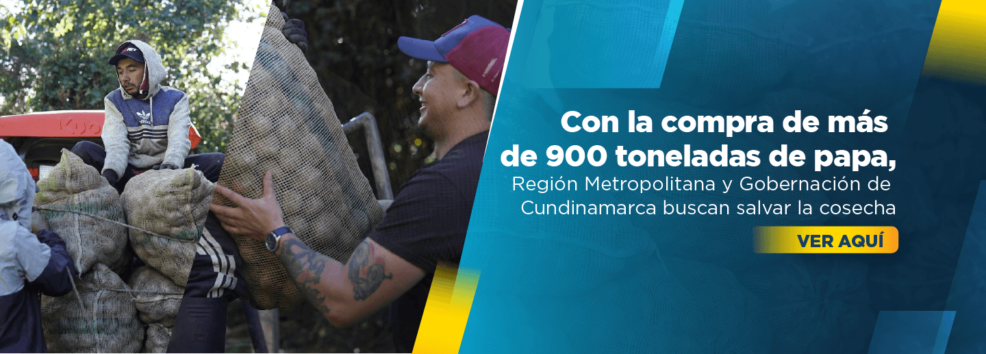 Banner muestra campesino cargando un bulto de papa mientras pasa por un camino veredal