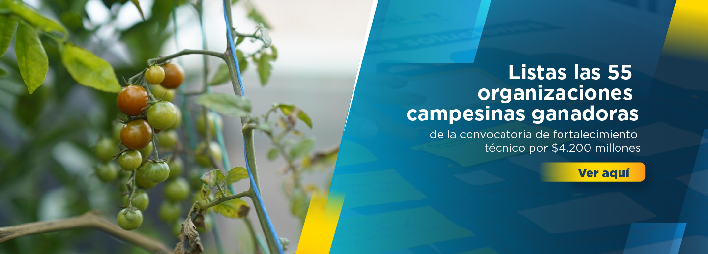 Banner alusivo a las organizaciones seleccionadas en el programa Asociaciones que nutren nuestra región