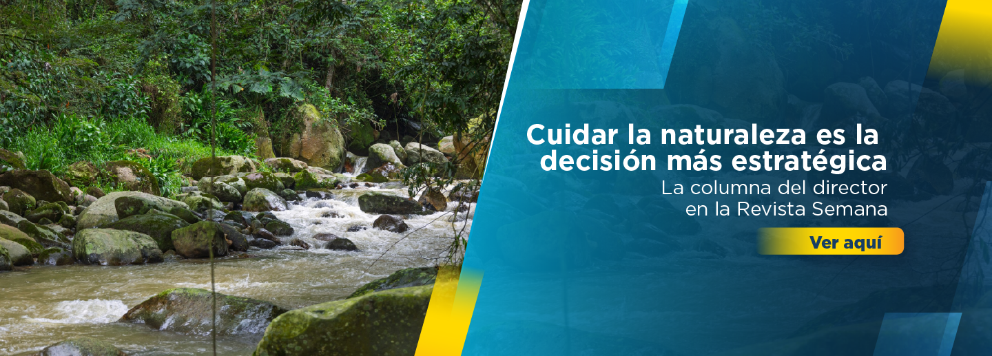 Banner o diseño que muestra un río con el siguiente texto: Cuidar la naturaleza es la decisión más estratégica.  Columba del director en Revista semana. La pieza gráfica invita a hacer clic sobre la imagen para abrir el contenido.