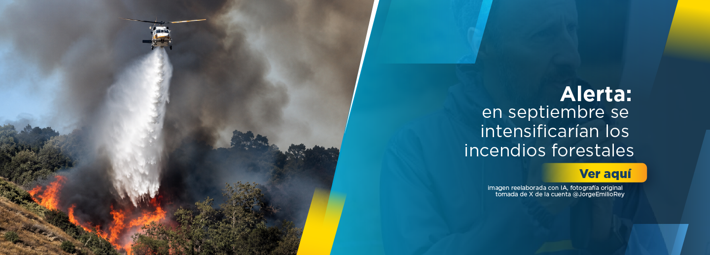 Alerta: en septiembre se intensificarían los incendios forestales