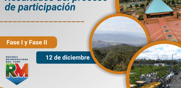 Resultados del Proceso de Participación Fase I y Fase II