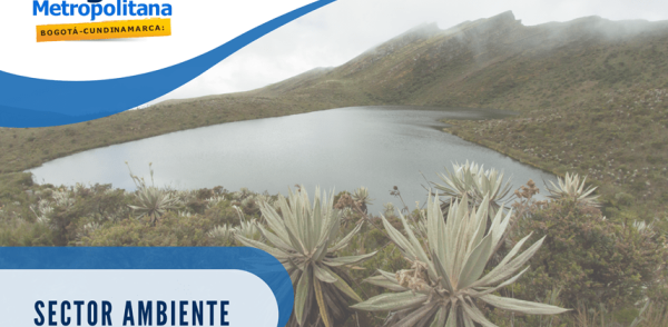 Sector Ambiente