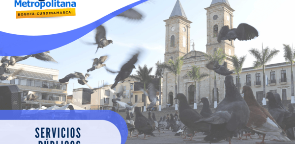 Servicios Públicos