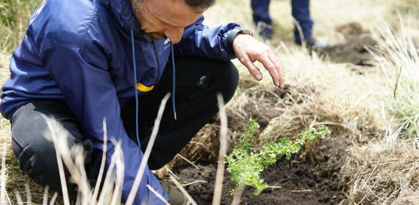 Director de la Región Metropolitana Bogotá Cundinamarca Luis Lota durante la siembra de árboles en la vereda La Pradera de Soacha