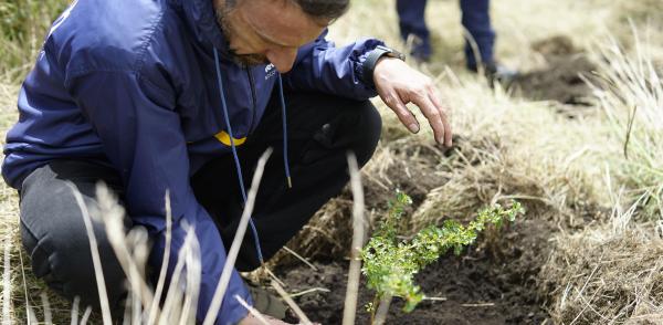 Fotografía de Luis Lota, director de la Región Metropolitana Bogotá - Cundinamarca sembrando un árbol