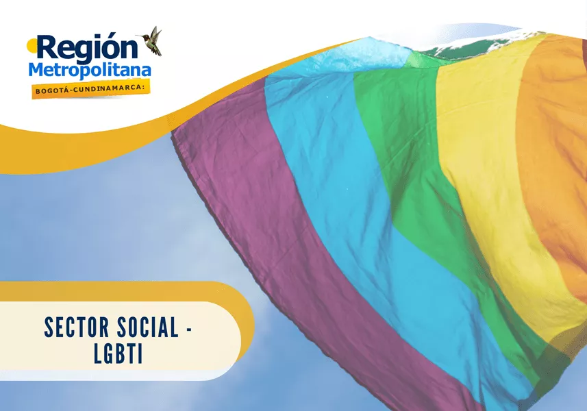 Sector Social LGBTI